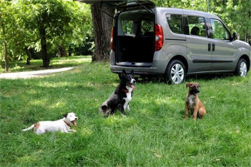 opel-combo-pet-lovers-edition-portare-cane-vacanza